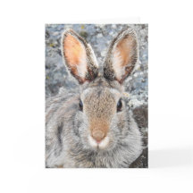 Bergskontontail Notecard