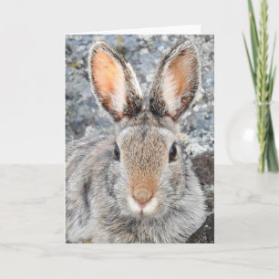 Bergskontontail Notecard Kort