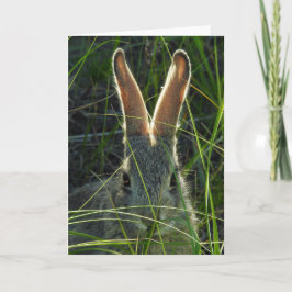 Bergskontontail Notecard Kort