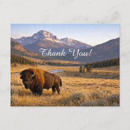 Bergslandschaft Amerikansk Bison Tack Vykort