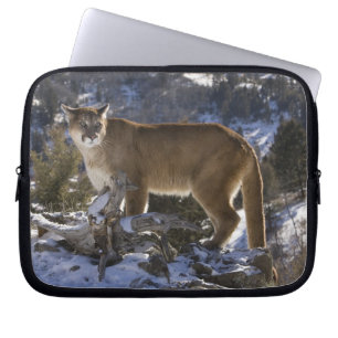 Bergslon Laptop Sleeve