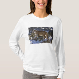 Bergslon Tee Shirt