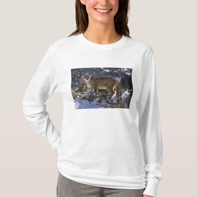 Bergslon Tee Shirt (Framsida)