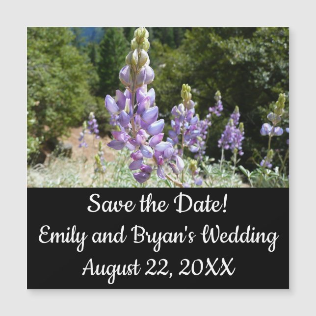 Bergslupiner i Yosemite (Framsida)