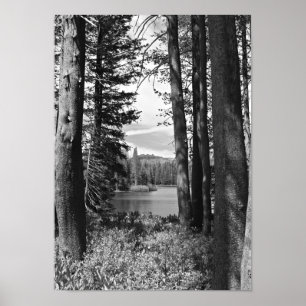 Bergsområden Sjö, Skog, Svarta havet och Vita (por Poster