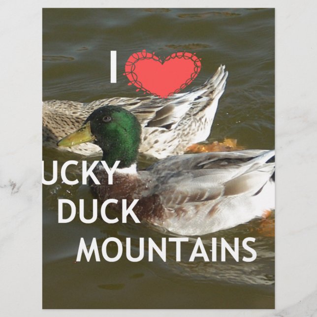 Bergsområdena Ducky anka. (Framsida)