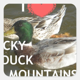Bergsområdena Ducky anka. Fyrkantigt Klistermärke