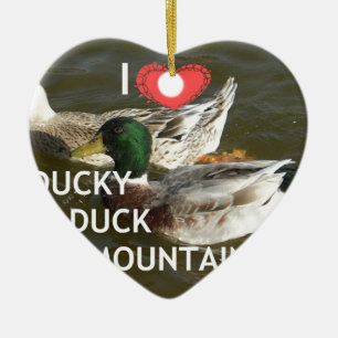 Bergsområdena Ducky anka. Julgransprydnad Keramik
