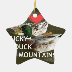 Bergsområdena Ducky anka. Julgransprydnad Keramik