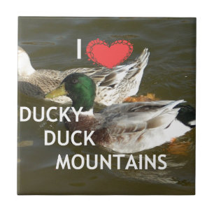 Bergsområdena Ducky anka. Kakelplatta