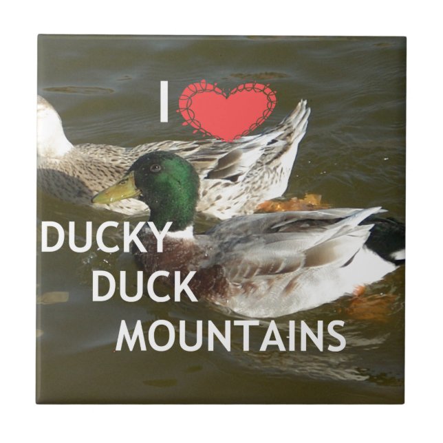 Bergsområdena Ducky anka. Kakelplatta (Framsidan)