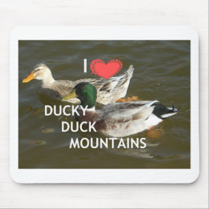 Bergsområdena Ducky anka. Musmatta