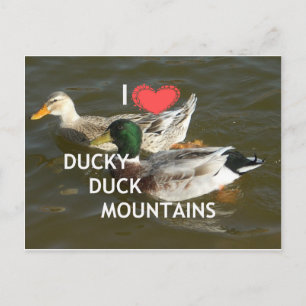 Bergsområdena Ducky anka. Vykort