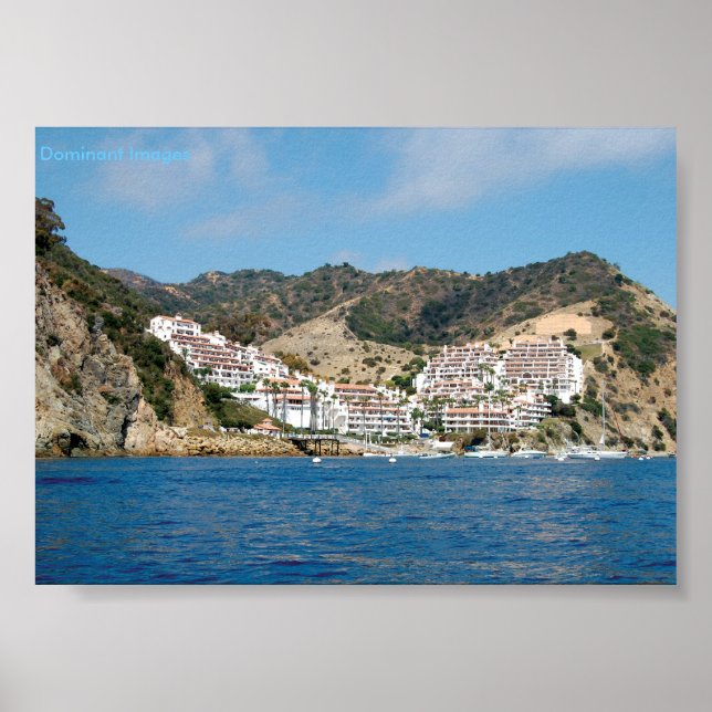 Bergsområdena i Catalina Poster (Framsidan)