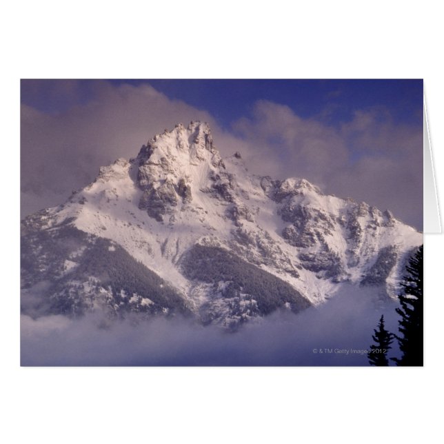 Bergsområdet Denali, Alaska Hälsningskort (Framsidan Horizontal)