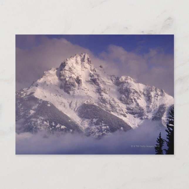 Bergsområdet Denali, Alaska Vykort (Framsida)