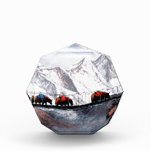 Bergsört Yaks Himalaya