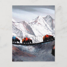 Bergsört Yaks Himalaya
