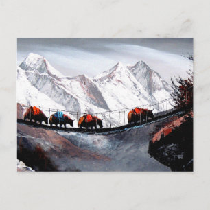 Bergsört Yaks Himalaya Vykort