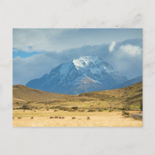 Bergspets i Torres del Plains Vykort
