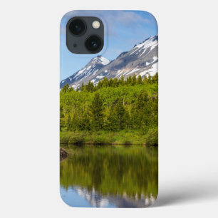 Bergspetsarna reflekterar i en bäverdamm