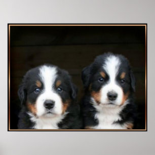 Bergspumpor från Bernese poster