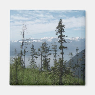 Bergsscen Magnet