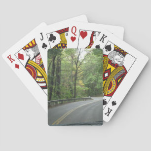 Bergsskogen Casinokort