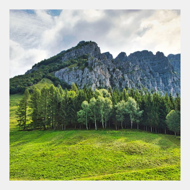 Bergsskogen med tallar i norra Italien (Framsida)
