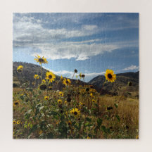 Bergssolblommor med Backe i Avstånd