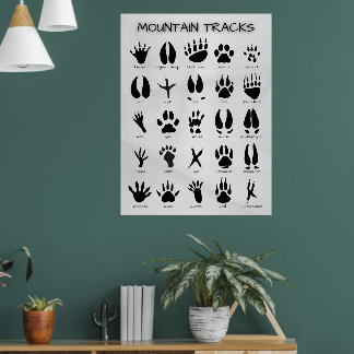Bergsspår Poster