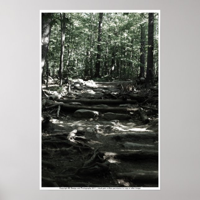 Bergsspår Poster (Framsidan)