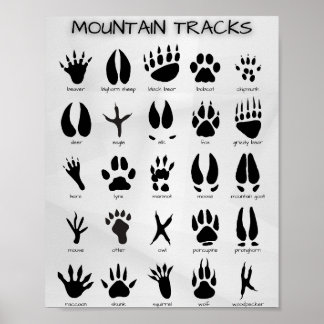 Bergsspår Poster