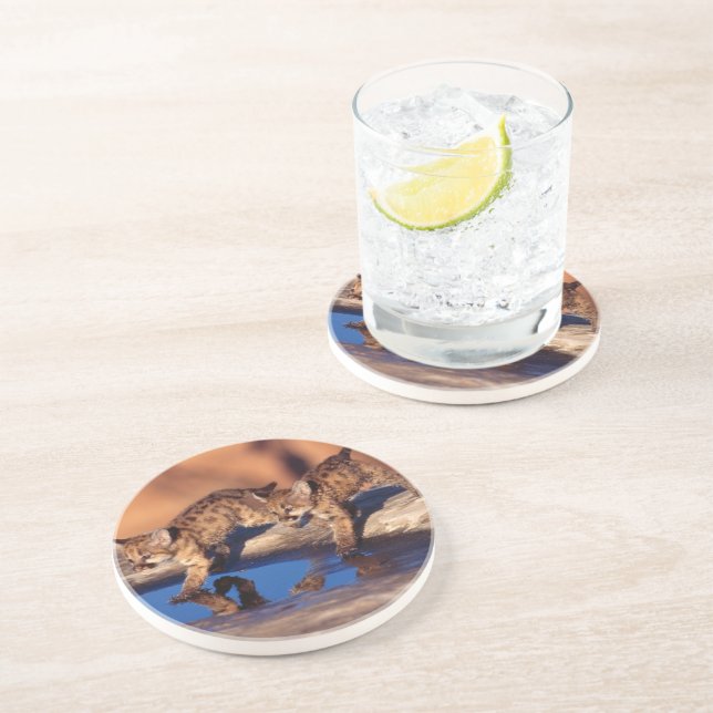 Bergsstenen i Lejona Unge Underlägg (Sidan)