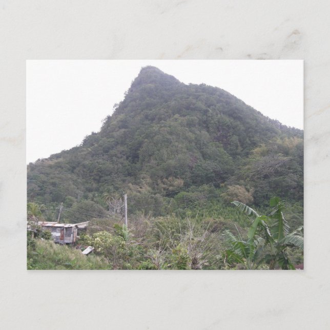 Bergstopp Vykort (Framsida)