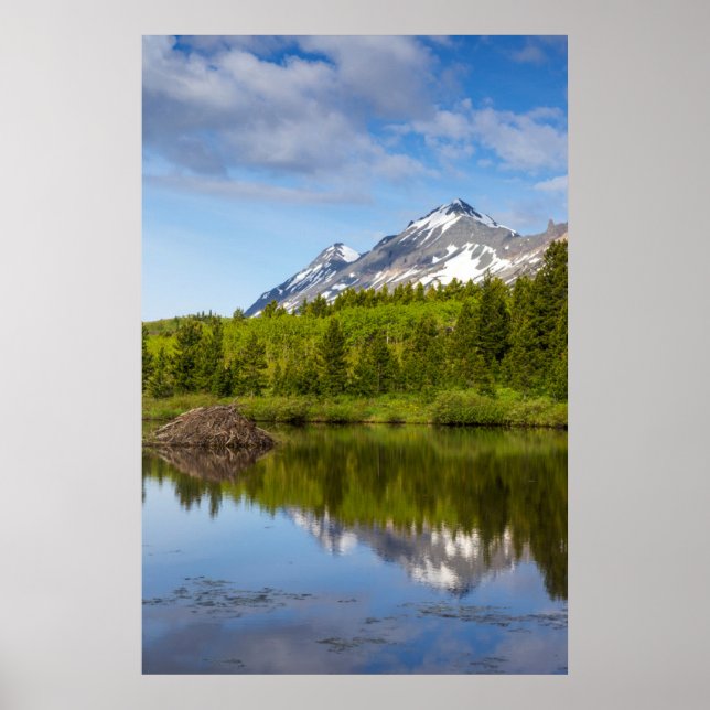 Bergstoppar speglas i en bäverdamm poster (Framsidan)