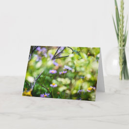 Bergsvildblommor Kort