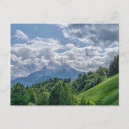 Bergsvy i alpernor vykort