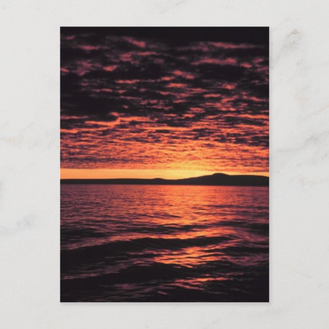 Bering Sea Sunset Vykort (Framsida)