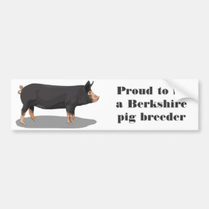 Berkshire som är stolt att vara en Berkshire Bildekal