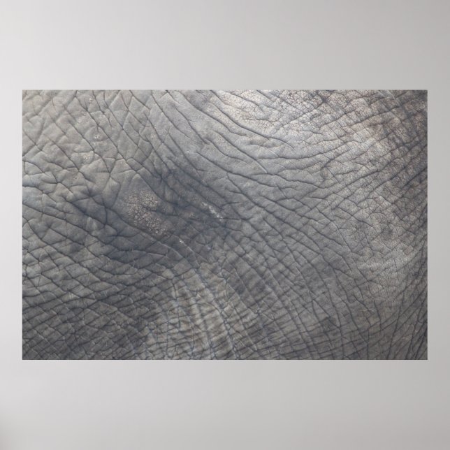 Berlin Poster (Framsidan)