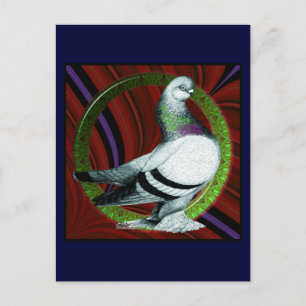 Berliner Pigeon Circle Vykort