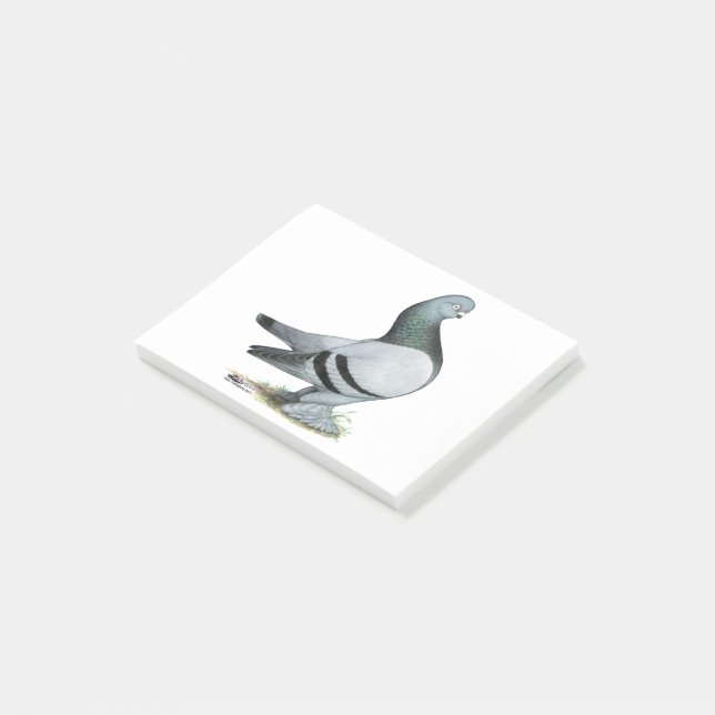 Berliner Tumbler Pigeon Blue Pub Post-it Block (Vinklad)