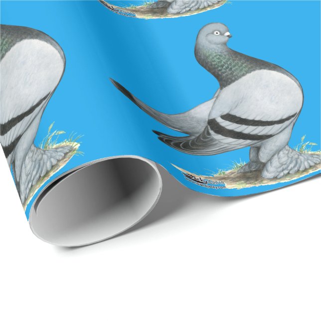 Berliner Tumbler Pigeon Blue Pub Presentpapper (Rullad Hörn)