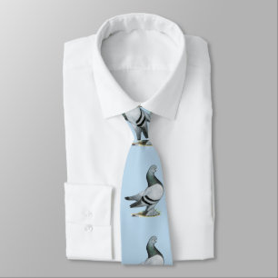 Berliner Tumbler Pigeon Blue Pub Slips