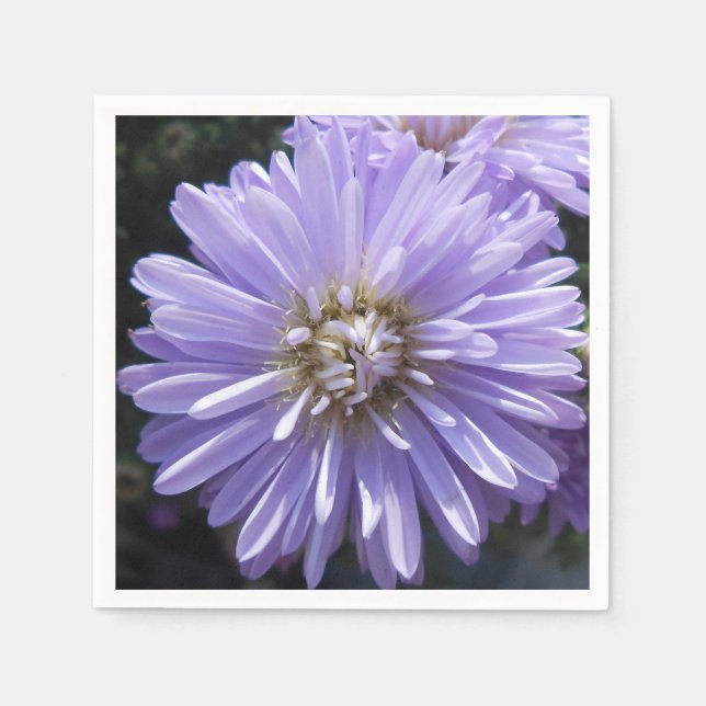 Berlinette Pappersservett (Framsidan)