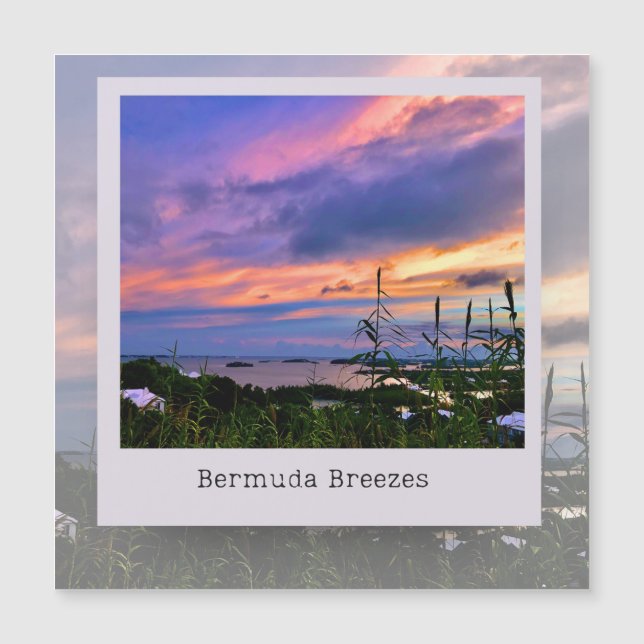 Bermuda Breeze Magnet Card (Framsida)