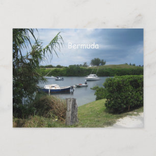 Bermuda Cove Vykort