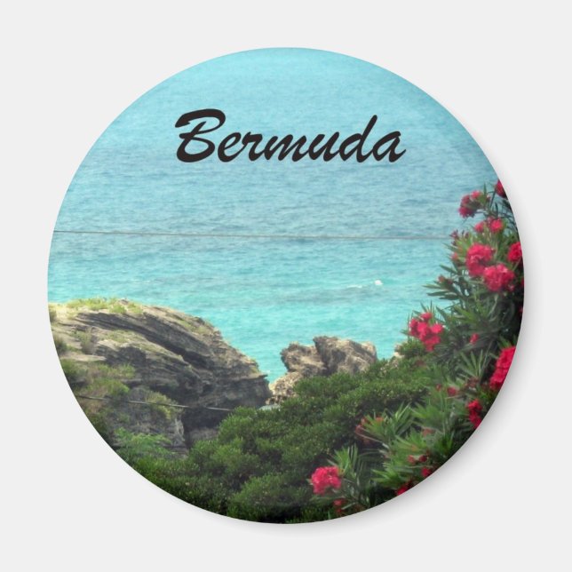 Bermuda Magnet (Framsidan)