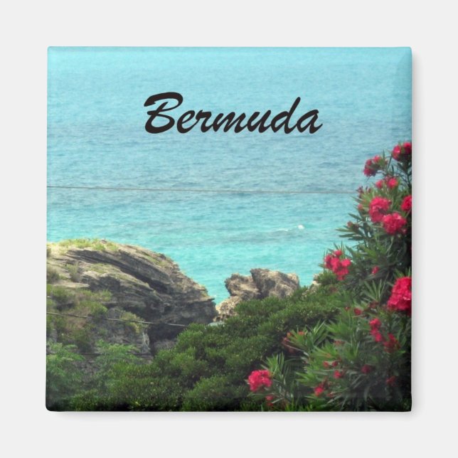 Bermuda Magnet (Framsidan)